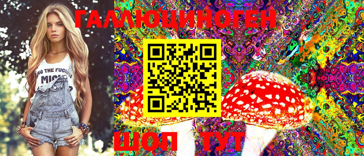 Кулебаки  Псилоцибиновые грибы GOLDEN TEACHER  Псилоцибиновые грибы Magic Shrooms  Вход с VPN 